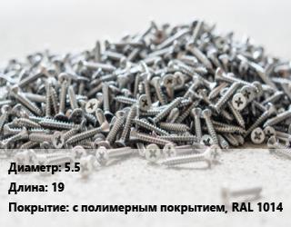 Шуруп 5.5х19 с полимерным покрытием, RAL 1014, кг цена от 4.5 Тг / кг, где купить, условия доставки в Алматы и Алматинской области
